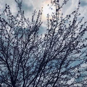 Meet your Posher, Audrey